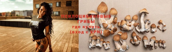 мескалин Вязники